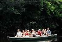 Survival Techniqes in the Amazon Jungle